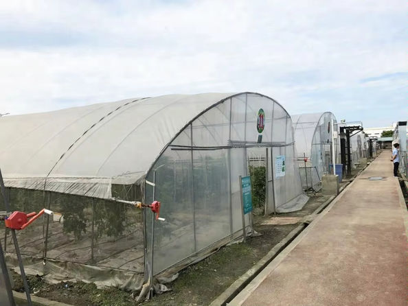 Matt Charlton est là.