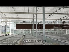 Table de culture en serre en treillis métalliques