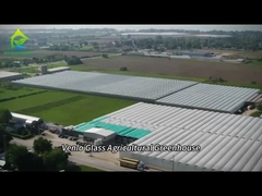 Serre en verre entièrement intelligente pour la culture des tomates et des poivrons