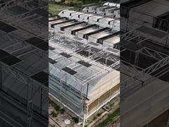 Serre photovoltaïque multi-travées à panneaux en polycarbonate Venlo intelligents et modernes