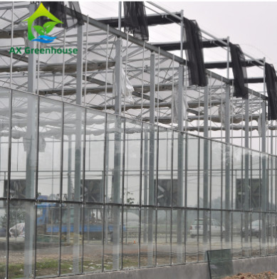 Type commercial de Venlo de verre trempé serre chaude Multispan pour agricole