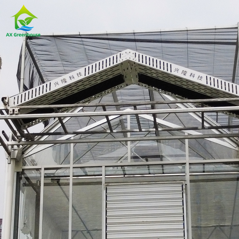 9.6m/10.8m/12m Largeur cadre en alliage d'aluminium verre agricole Venlo Serre multi-span avec triangle de teint