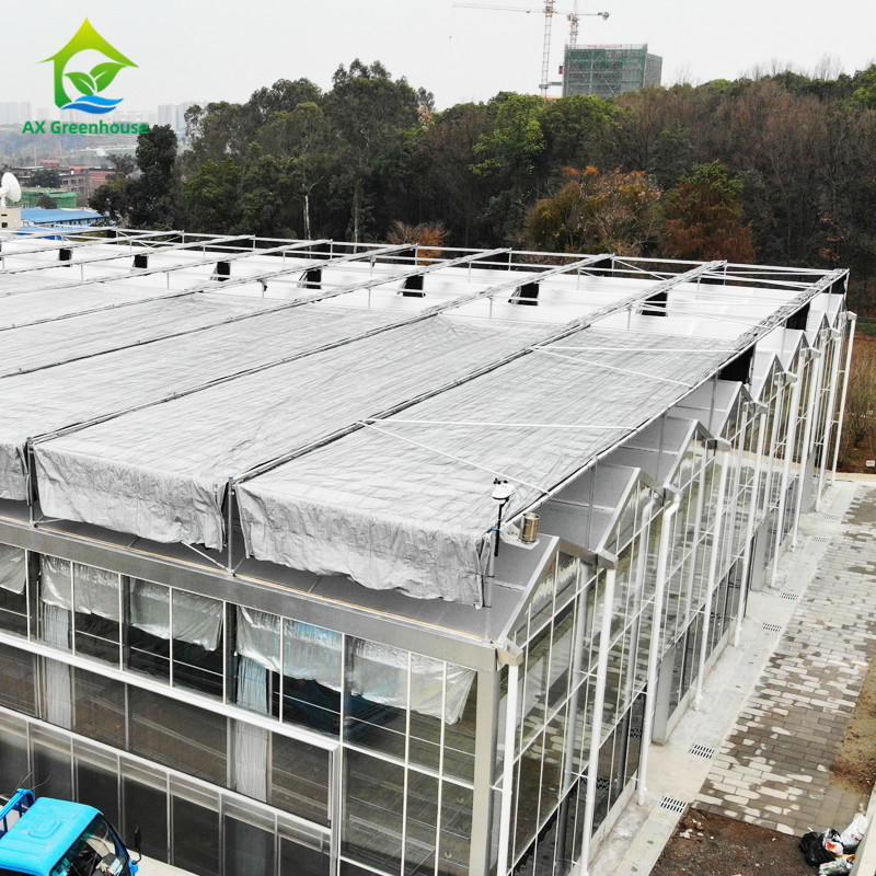 Système de contrôle intelligent Serre durable pour les légumes 9,6m/10,8m/12m largeur