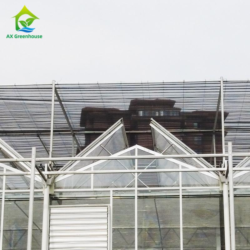9.6m/10.8m/12m Largeur cadre en alliage d'aluminium verre agricole Venlo Serre multi-span avec triangle de teint