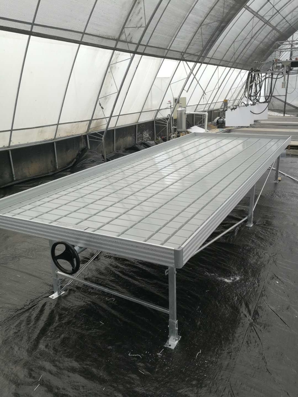 Élevez le banc de Tray Rolling Ebb And Flow d'inondation de Tableau pour la jeune plante de serre chaude de fleur