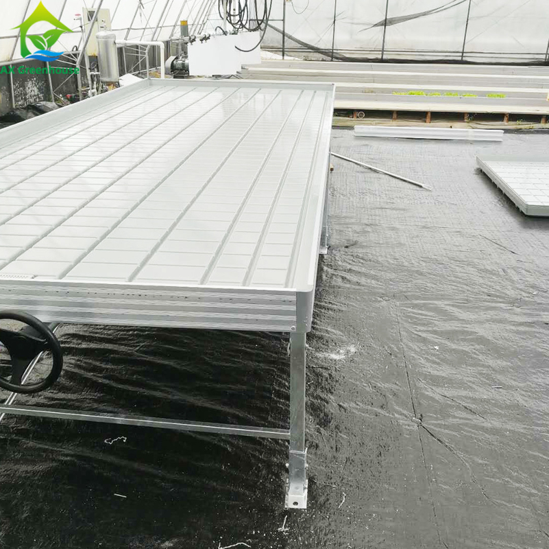 Le roulement hydroponique extérieur d'intérieur de serre chaude de jardin d'ODM met la verticale hors jeu élèvent le système de support