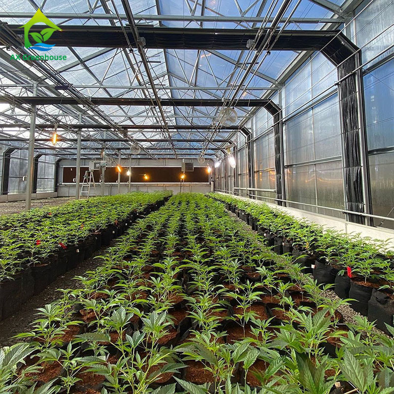 Serre chaude 100% de tunnel de privation du film 220V de PE haute de panne d'électricité légère automatique de serre chaude pour planter Mariguana