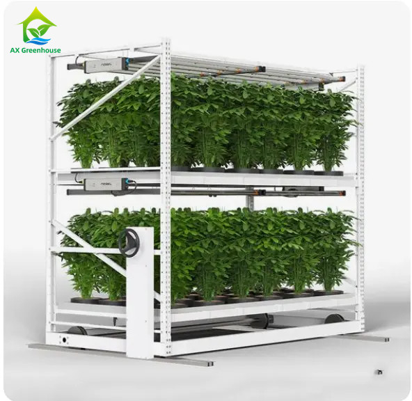 Rack de culture d'herbes médicinales à double couche à l'intérieur pour l'agriculture verticale