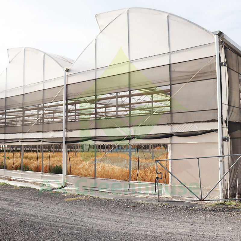Structure d'acier Film résistant aux UV Poly Tunnel Serre végétale multifonctionnelle pour tomates