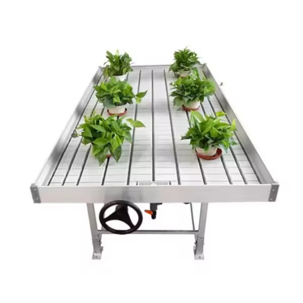 Tableau de culture de serre de taille personnalisée pour l' horticulture