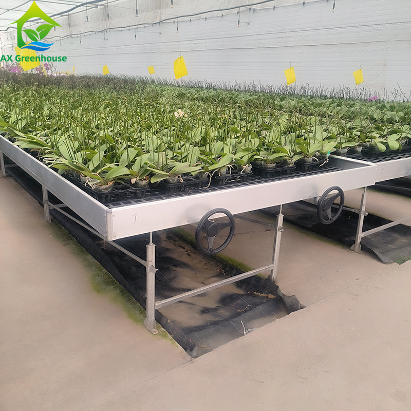 Table à roulement hydroponique mobile pour la culture de plantes en serre