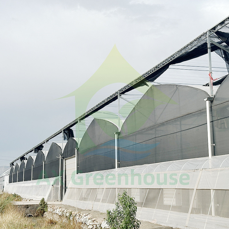 Serre poly-tunnel en plastique PE film multi-étendue tomate pour les fruits et légumes avec filet d'ombre