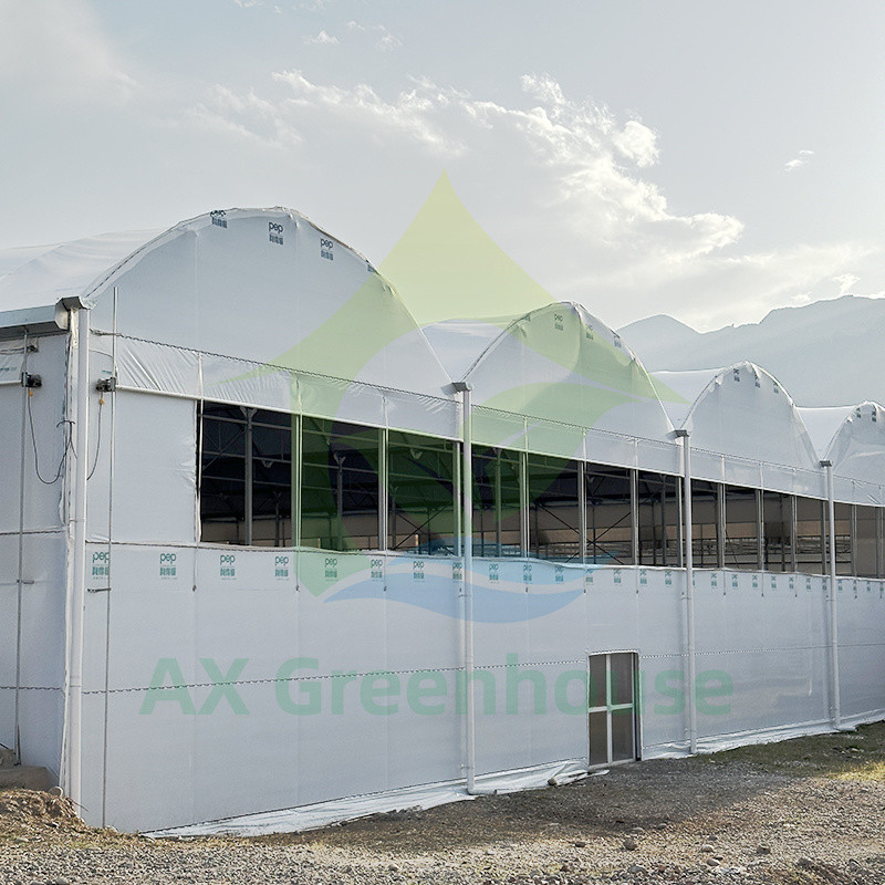 Serre poly-tunnel en plastique PE film multi-étendue tomate pour les fruits et légumes avec filet d'ombre