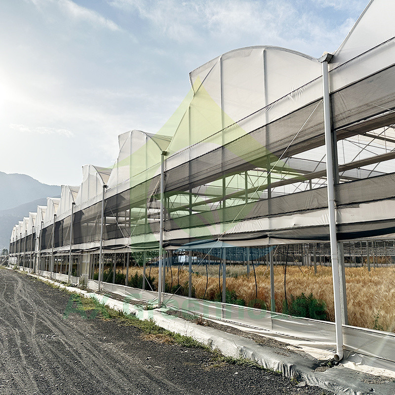Serre poly-tunnel en plastique PE film multi-étendue tomate pour les fruits et légumes avec filet d'ombre