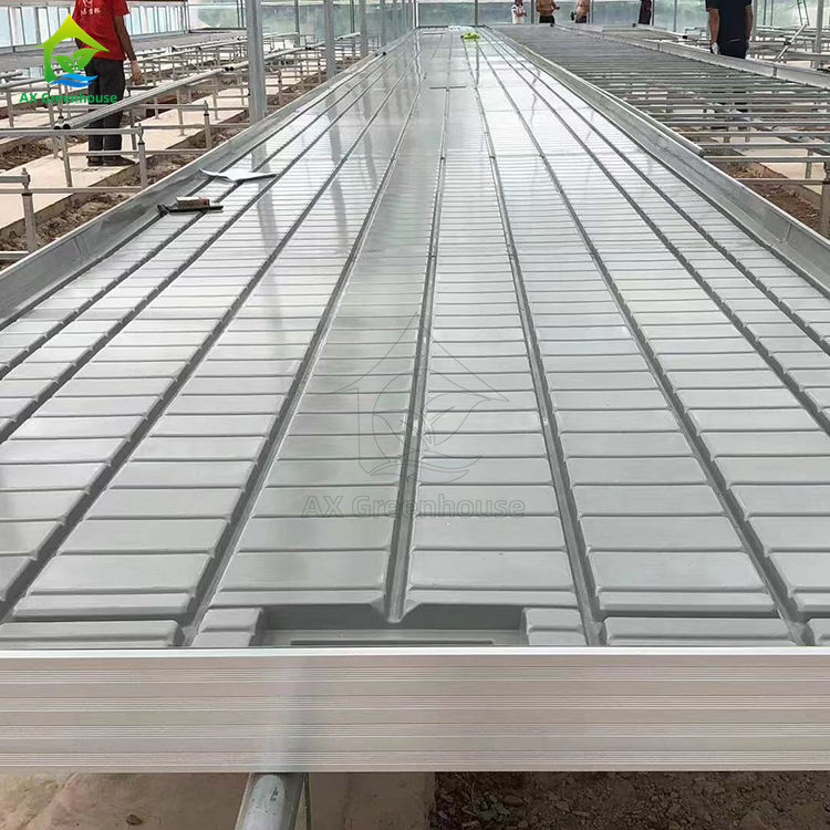 Table à roulement hydroponique mobile pour la culture de plantes en serre