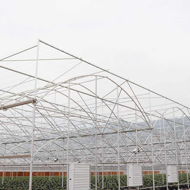 Serre personnalisée à structure en acier galvanisé à chaud à pellicule plastique multi-span avec conception de dent de scie à ventilation tropicale