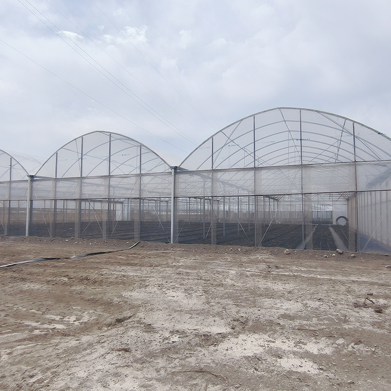 Serre personnalisée à structure en acier galvanisé à chaud à pellicule plastique multi-span avec conception de dent de scie à ventilation tropicale