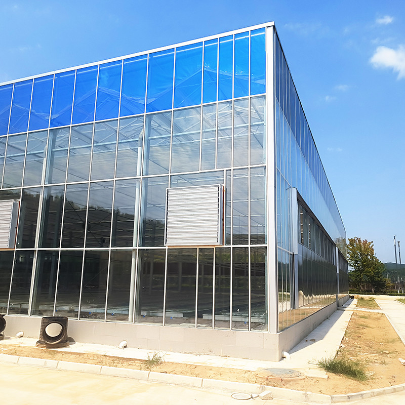 Système de contrôle intelligent Serre durable pour les légumes 9,6m/10,8m/12m largeur