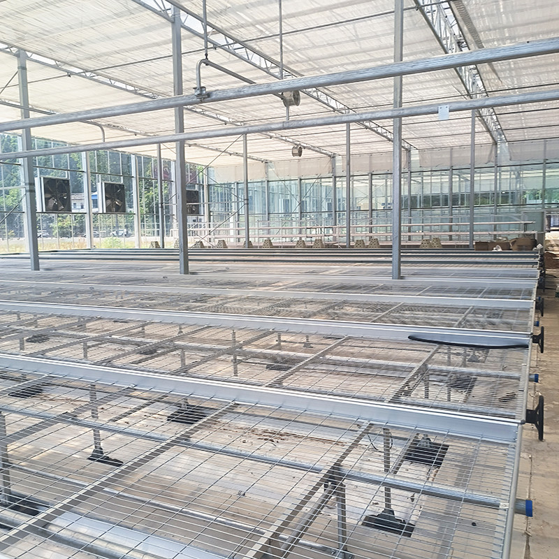 Agriculture Commercial Indoor Mesh Wire Serre Cultivation Table à rouleaux Pour les semis