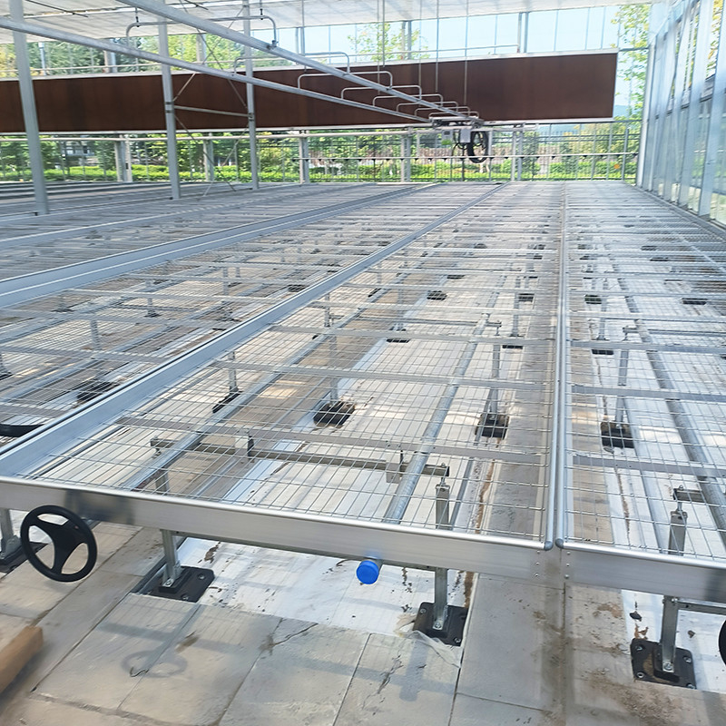 Tables de serre légères et polyvalentes évolutives pour la culture de divers types de plantes résistantes à la rouille