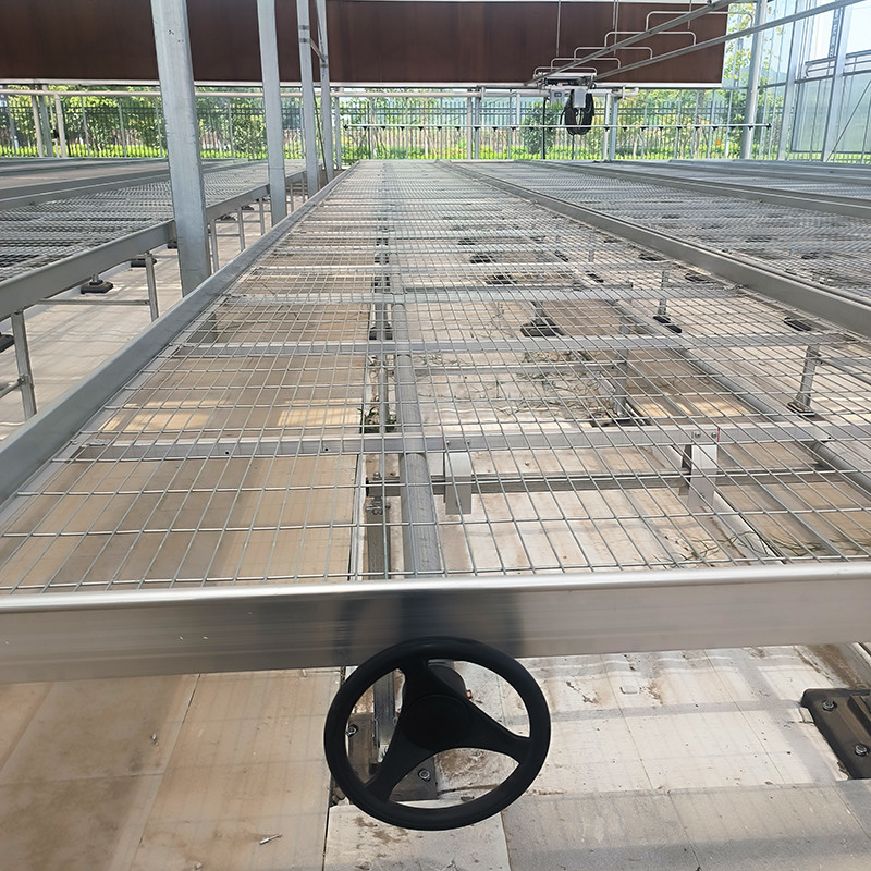 Table de croissance de banc à rouleaux de serre personnalisée avec avantage de construction facile et structure de cadre en acier galvanisé à chaud
