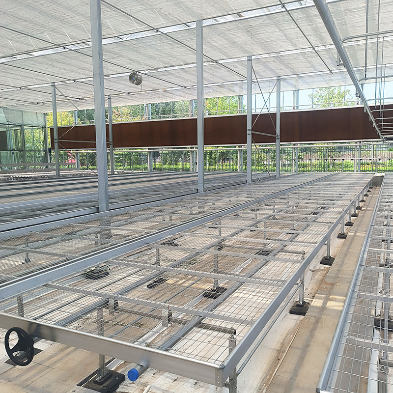Tables de serre légères et polyvalentes évolutives pour la culture de divers types de plantes résistantes à la rouille