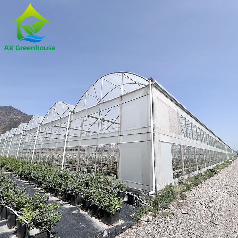 Serre personnalisée à structure en acier galvanisé à chaud à pellicule plastique multi-span avec conception de dent de scie à ventilation tropicale