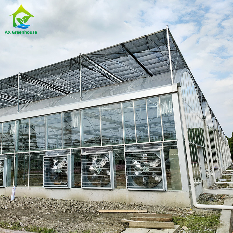 Système de contrôle intelligent Serre durable pour les légumes 9,6m/10,8m/12m largeur