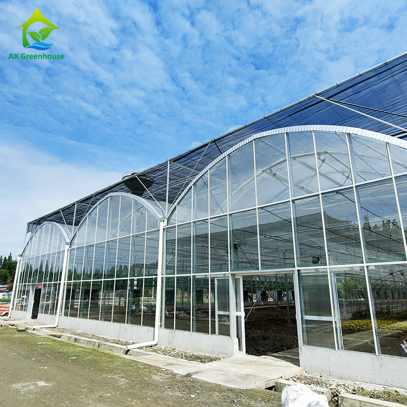 Système de contrôle intelligent Serre durable pour les légumes 9,6m/10,8m/12m largeur