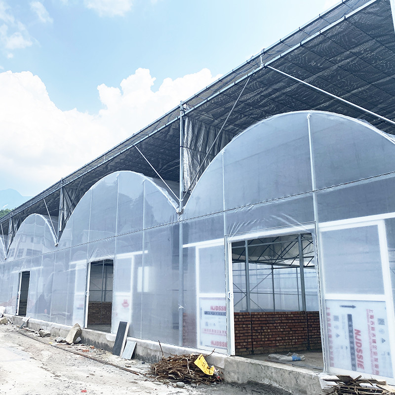 Serre à pellicule de plastique résistante aux UV de 30x10m pour tomates et légumes avec revêtement en pellicule