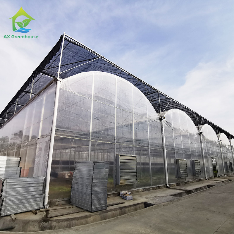Serre à pellicule de plastique résistante aux UV de 30x10m pour tomates et légumes avec revêtement en pellicule