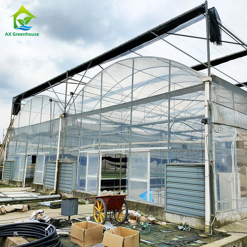 Serre à pellicule de plastique résistante aux UV de 30x10m pour tomates et légumes avec revêtement en pellicule