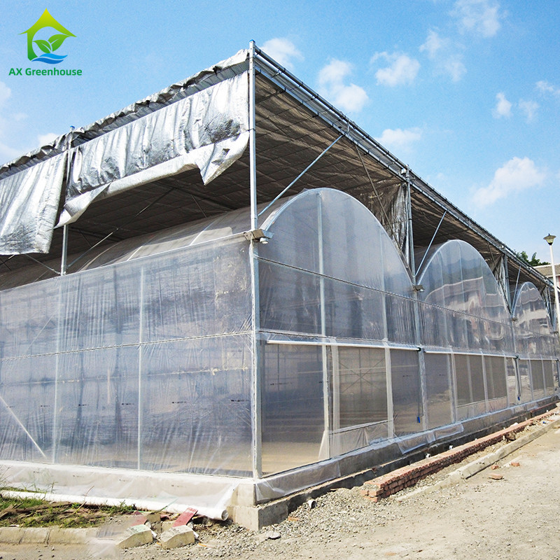 Résistant à l'eau chaude galvanisée en acier multi-span film plastique Serre agricole pour les fruits