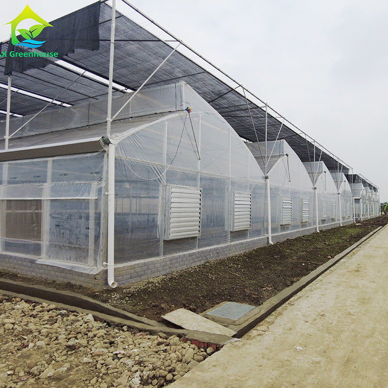 Résistant à l'eau chaude galvanisée en acier multi-span film plastique Serre agricole pour les fruits