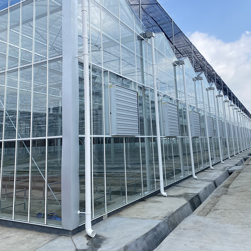 Structure en acier galvanisé à chaud et revêtement en verre renforcé pour une ventilation optimale dans les serres en verre agricole