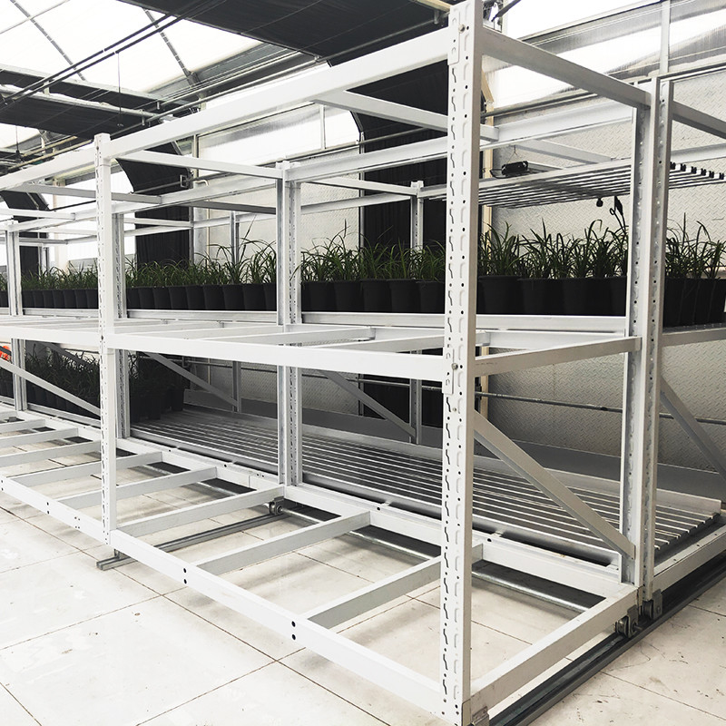 Rack de culture d'herbes médicinales à double couche à l'intérieur pour l'agriculture verticale