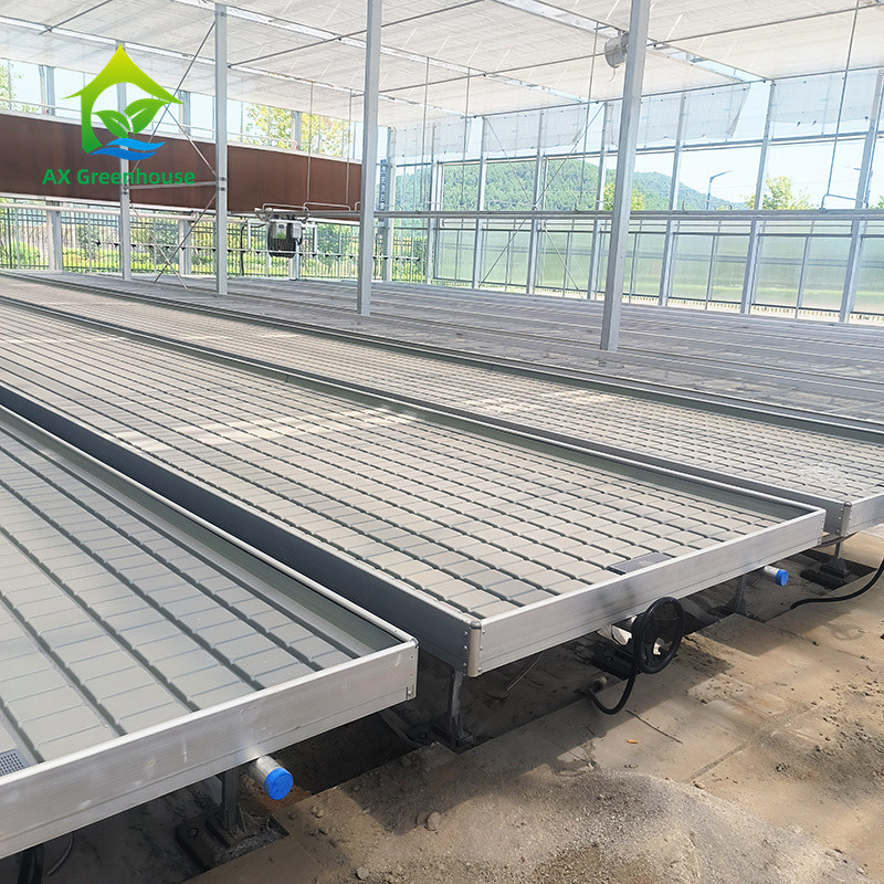 Bancs roulants en serre Table de culture pour les plants de tomates semis Système d'irrigation par écoulement