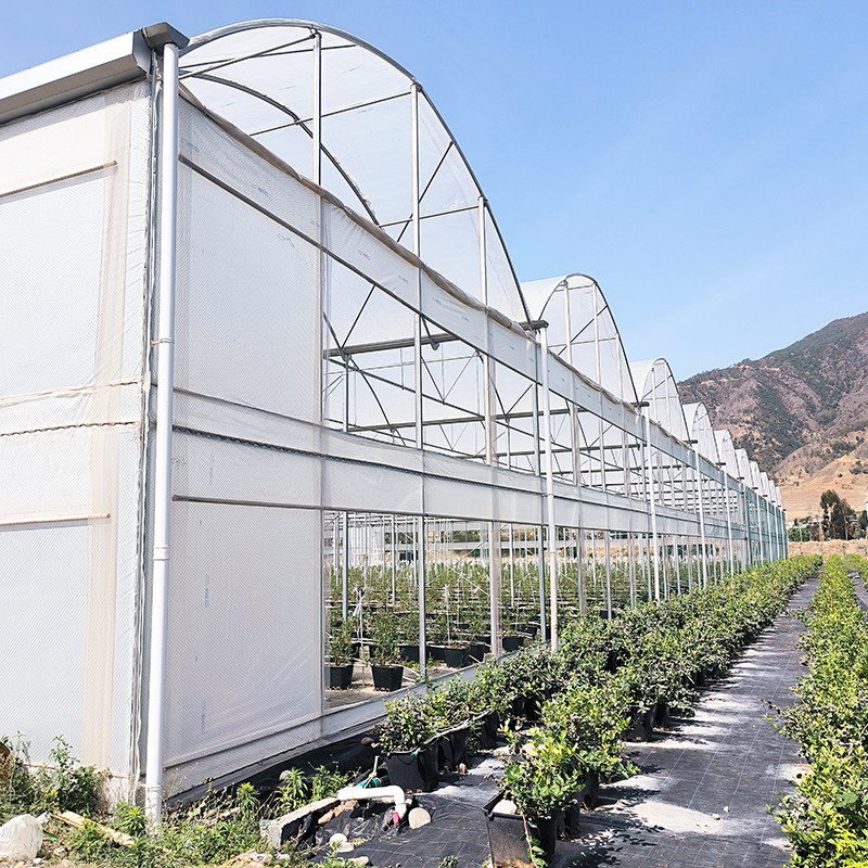 Serre à pellicule de plastique résistante aux UV de 30x10m pour tomates et légumes avec revêtement en pellicule