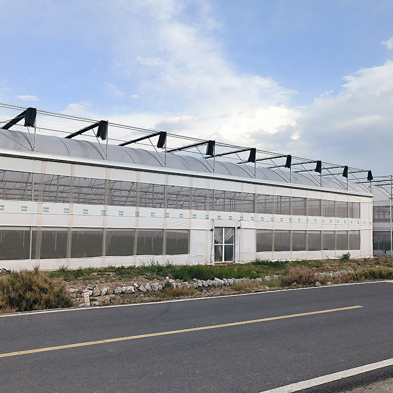 Structure d'acier agricoles Poly tunnel ombrage noir Serre multi-span avec système de refroidissement en option