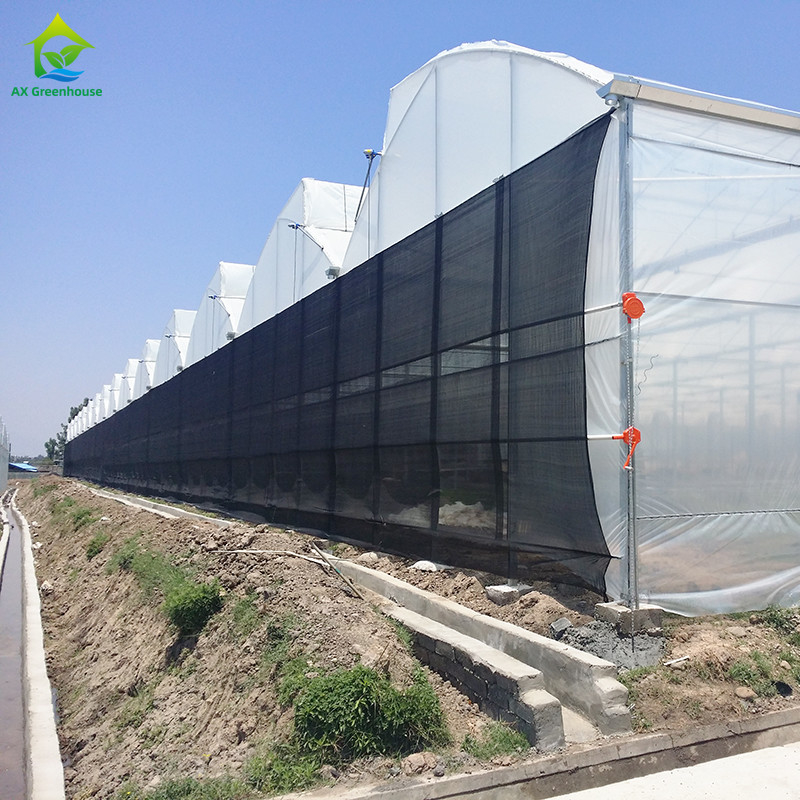 Structure d'acier agricoles Poly tunnel ombrage noir Serre multi-span avec système de refroidissement en option
