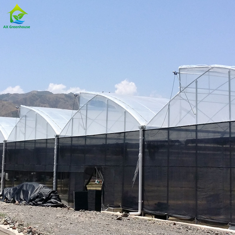 Structure d'acier agricoles Poly tunnel ombrage noir Serre multi-span avec système de refroidissement en option