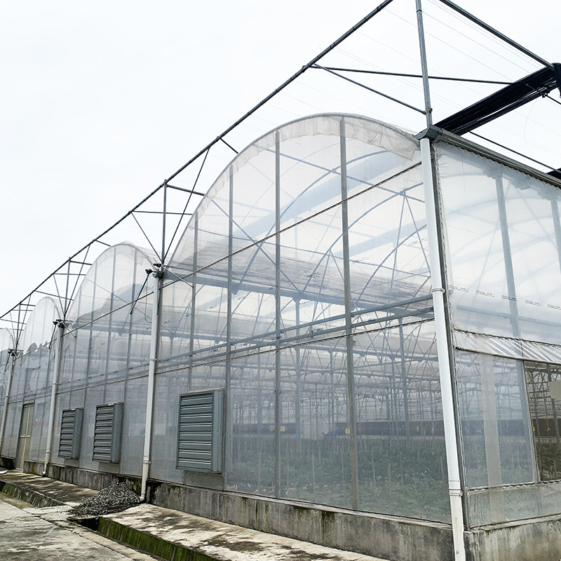 Structure d'acier Film résistant aux UV Poly Tunnel Serre végétale multifonctionnelle pour tomates