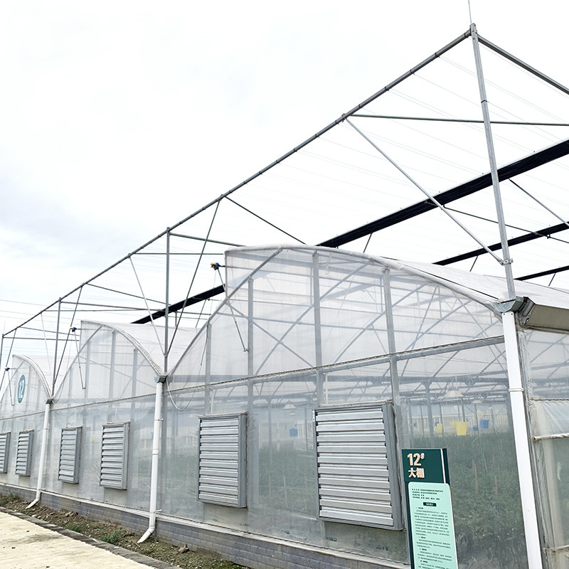Structure d'acier Dent de scie Poly film bas tunnel Serre à plusieurs travées agricole pour une production végétale durable