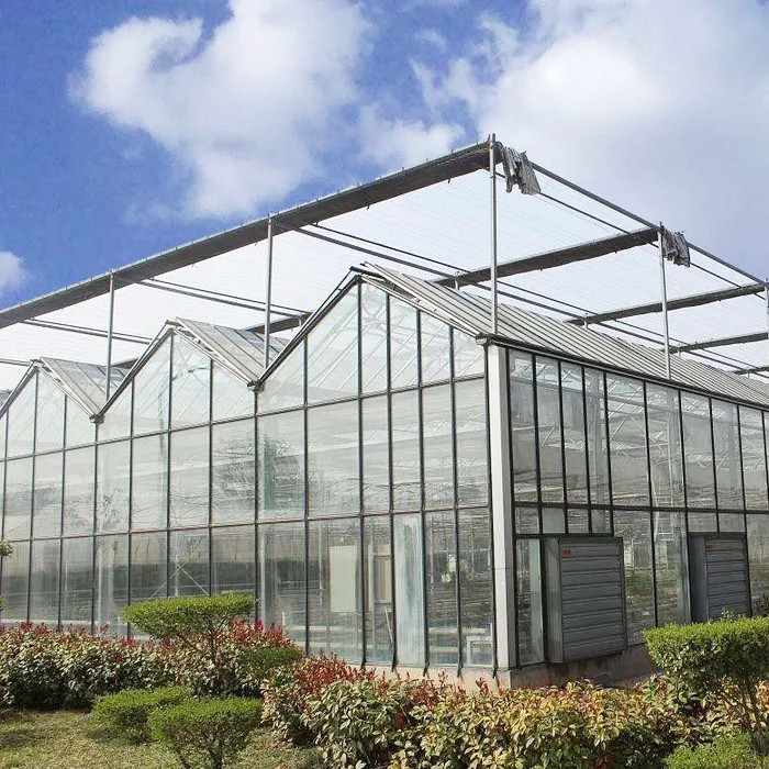 Structure en acier galvanisé à chaud et revêtement en verre renforcé pour une ventilation optimale dans les serres en verre agricole