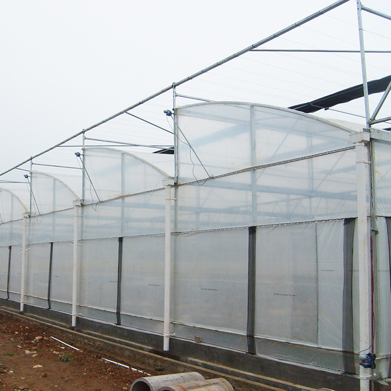 Structure d'acier Dent de scie Poly film bas tunnel Serre à plusieurs travées agricole pour une production végétale durable