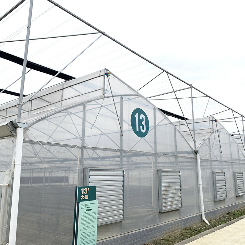 Structure d'acier Dent de scie Poly film bas tunnel Serre à plusieurs travées agricole pour une production végétale durable