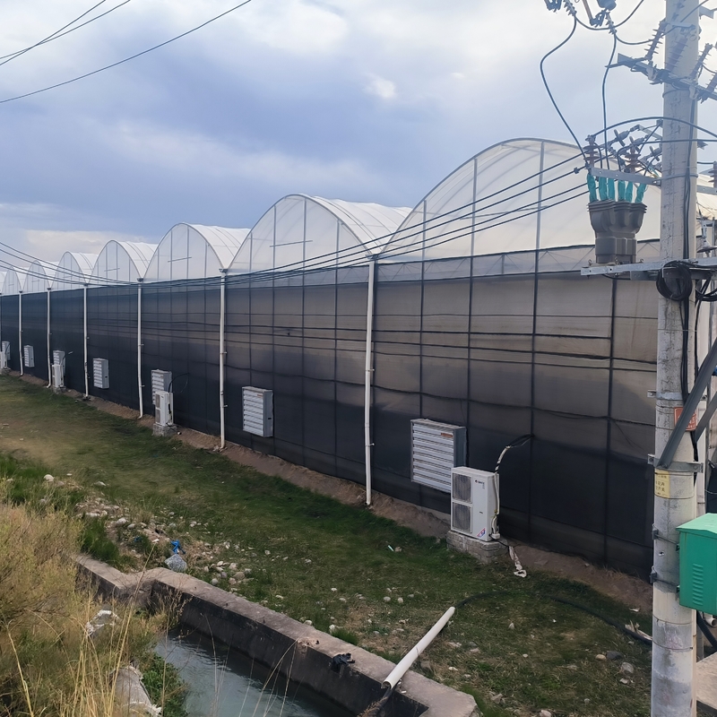 Structure d'acier agricoles Poly tunnel ombrage noir Serre multi-span avec système de refroidissement en option