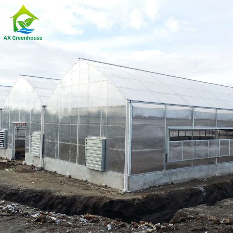 Cultiver des plantes Serre en feuille PC en polycarbonate à longue portée avec structure stable et assemblage facile