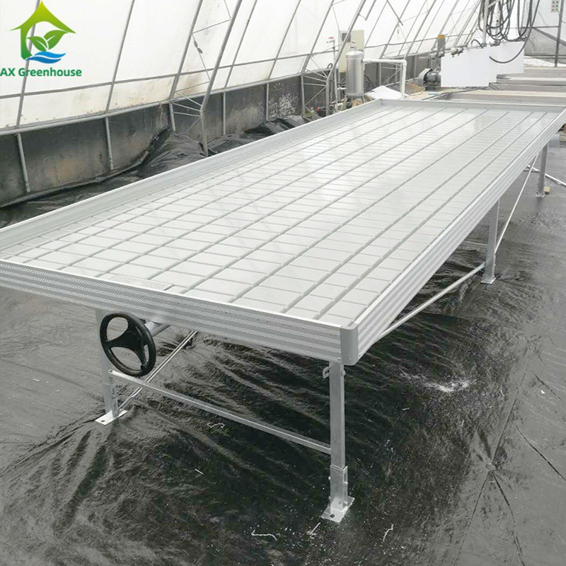 Taille personnalisée banc à rouleaux semencier pour la plante de tomate Table de culture de la rivière Flux d'écoulement de l'agriculture en intérieur