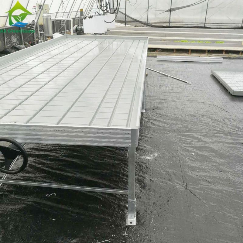 Bancs roulants en serre Table de culture pour les plants de tomates semis Système d'irrigation par écoulement